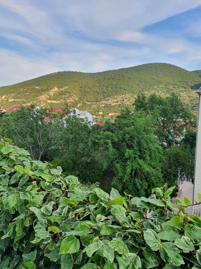 Apartment Rita Mokošica Buitenkant foto